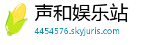 声和娱乐站